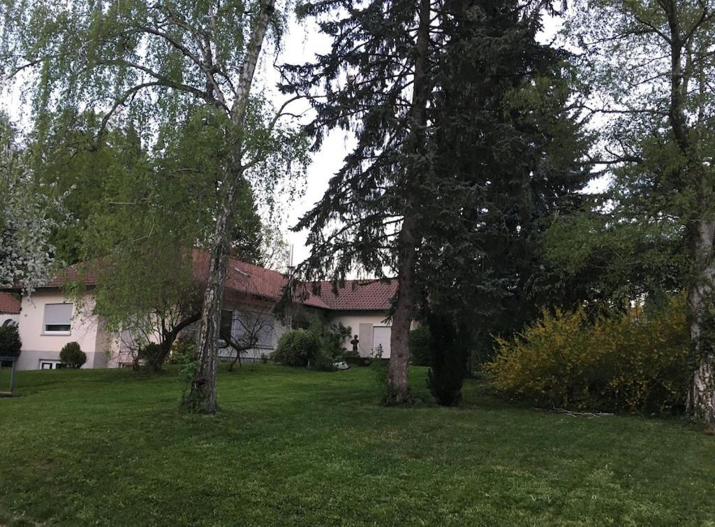 Schoene Ferienwohnung 2,5 Zimmer In Stadtnaehe Mit Eigenem Hofgarten Balingen Zewnętrze zdjęcie